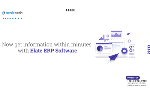 9 Reasons Why ERP is Important – Penieltech