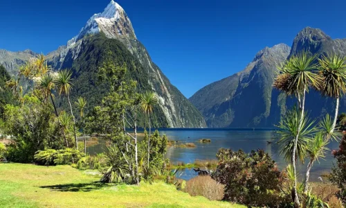 How Can Norwegian and Omani Citizens Obtain a New Zealand Visa?